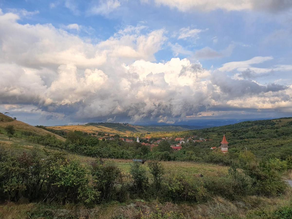 Motel Prislop Haţeg المظهر الخارجي الصورة