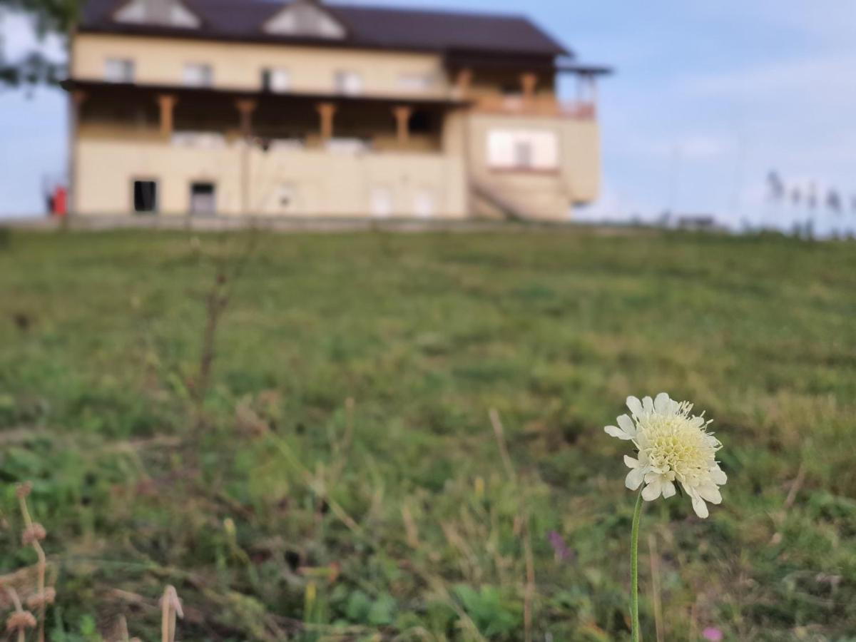 Motel Prislop Haţeg المظهر الخارجي الصورة