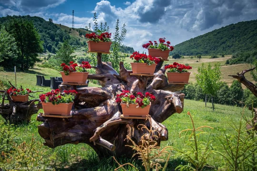 Motel Prislop Haţeg المظهر الخارجي الصورة